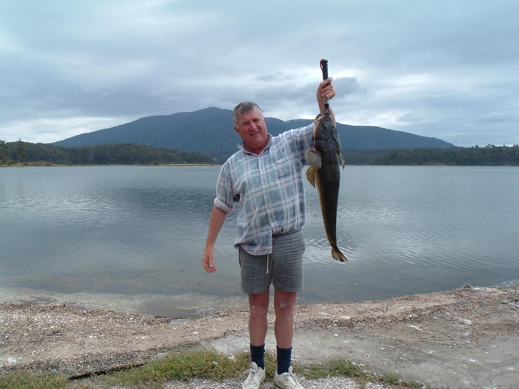 Regatta Point Holiday Park Bermagui Buitenkant foto